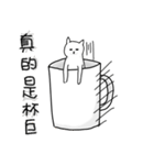 hi Super White cat（個別スタンプ：35）