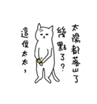 hi Super White cat（個別スタンプ：36）