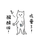 hi Super White cat（個別スタンプ：38）