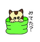 ぽちゃねこにゃん（個別スタンプ：24）