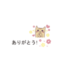 吹き出し猫 ダニエル【よく使う言葉編】（個別スタンプ：2）