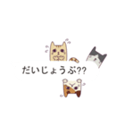 吹き出し猫 ダニエル【よく使う言葉編】（個別スタンプ：7）