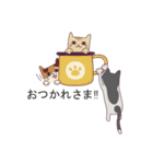 吹き出し猫 ダニエル【よく使う言葉編】（個別スタンプ：12）