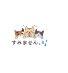 吹き出し猫 ダニエル【よく使う言葉編】（個別スタンプ：15）