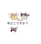 吹き出し猫 ダニエル【よく使う言葉編】（個別スタンプ：24）