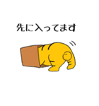 うち猫だより（個別スタンプ：7）