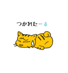 うち猫だより（個別スタンプ：10）