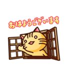 ネコのパーン（個別スタンプ：17）