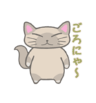 ぽんぽこねこ2（個別スタンプ：1）