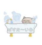 ぽんぽこねこ2（個別スタンプ：20）