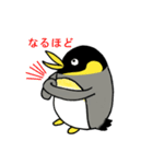 使えるペンギン（個別スタンプ：20）