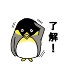 使えるペンギン（個別スタンプ：31）