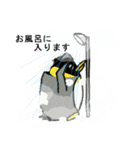 使えるペンギン（個別スタンプ：37）