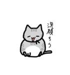 めたねこ家族4（個別スタンプ：4）