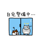 めたねこ家族4（個別スタンプ：17）
