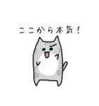 めたねこ家族4（個別スタンプ：21）