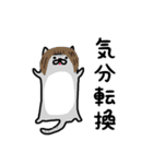 めたねこ家族4（個別スタンプ：37）