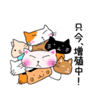 かばん猫 日常語。（個別スタンプ：40）