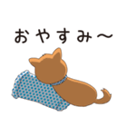 しばきち君（個別スタンプ：9）