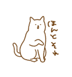 やさしい白いねこ（個別スタンプ：27）