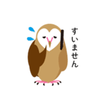 Heart Owl（個別スタンプ：11）