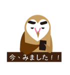 Heart Owl（個別スタンプ：19）