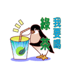 Anything to drink？（個別スタンプ：11）
