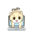 CatsCatsCats（個別スタンプ：1）
