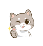 CatsCatsCats（個別スタンプ：4）