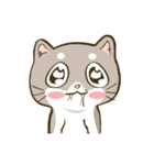 CatsCatsCats（個別スタンプ：13）