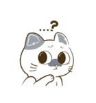 CatsCatsCats（個別スタンプ：14）