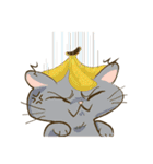 CatsCatsCats（個別スタンプ：18）
