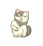 CatsCatsCats（個別スタンプ：20）