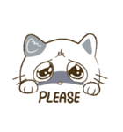CatsCatsCats（個別スタンプ：23）