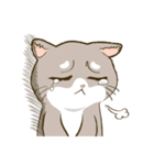 CatsCatsCats（個別スタンプ：24）
