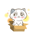 CatsCatsCats（個別スタンプ：25）