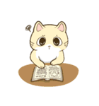 CatsCatsCats（個別スタンプ：35）
