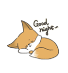 Carman fox（個別スタンプ：12）