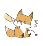 Carman fox（個別スタンプ：22）