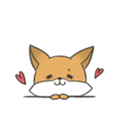 Carman fox（個別スタンプ：36）