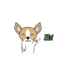 Hachi's daily life（個別スタンプ：1）