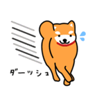 柴犬＊花の笑う犬の生活（個別スタンプ：9）