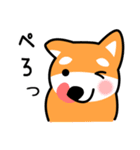 柴犬＊花の笑う犬の生活（個別スタンプ：11）