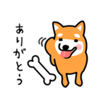 柴犬＊花の笑う犬の生活（個別スタンプ：16）