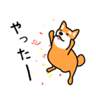 柴犬＊花の笑う犬の生活（個別スタンプ：20）