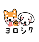 柴犬＊花の笑う犬の生活（個別スタンプ：21）