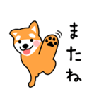 柴犬＊花の笑う犬の生活（個別スタンプ：22）