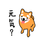 柴犬＊花の笑う犬の生活（個別スタンプ：32）