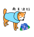 柴犬＊花の笑う犬の生活（個別スタンプ：39）