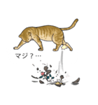 吹き出しに群がる猫2（個別スタンプ：2）